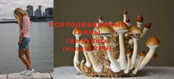 дмт Алзамай