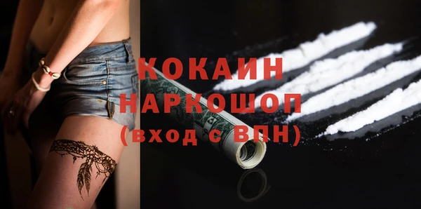 дмт Алзамай