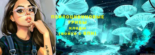 дмт Алзамай