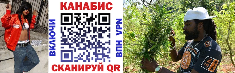 Канабис сатива Каневская