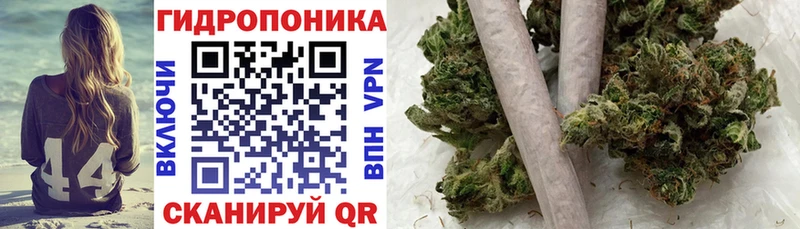 это телеграм  Каневская  Шишки марихуана тримм  OMG сайт 